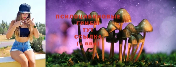 шишки Алексеевка