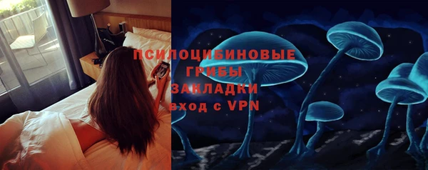 шишки Алексеевка