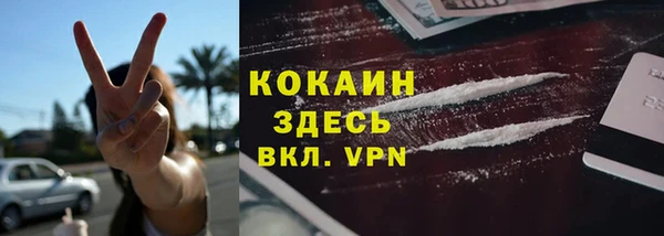 стафф Алзамай