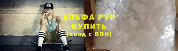 стафф Алзамай
