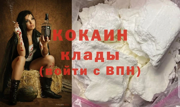 стафф Алзамай