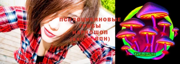 стафф Алзамай