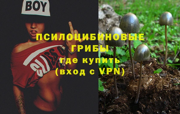 стафф Алзамай
