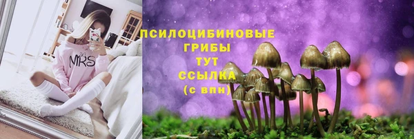 шишки Алексеевка
