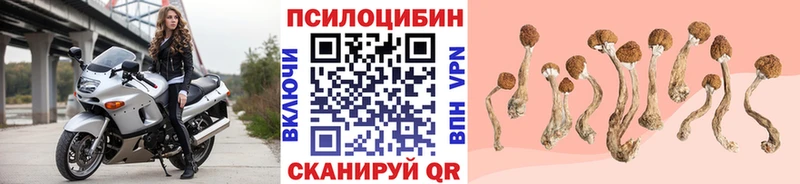 продажа наркотиков  Учалы  Псилоцибиновые грибы Psilocybine cubensis 